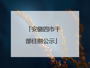 安徽四市干部任前公示
