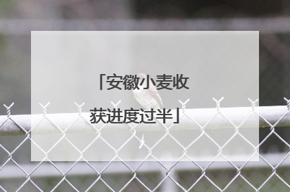 安徽小麦收获进度过半