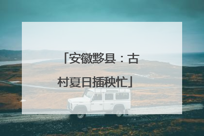 安徽黟县：古村夏日插秧忙