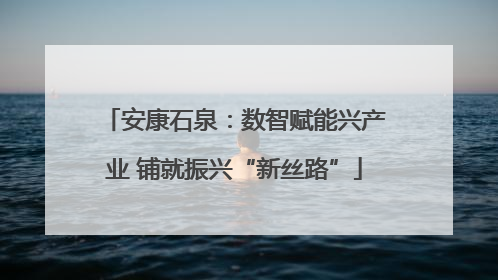 安康石泉：数智赋能兴产业 铺就振兴“新丝路”