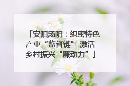 安阳汤阴：织密特色产业“监督链” 激活乡村振兴“廉动力”