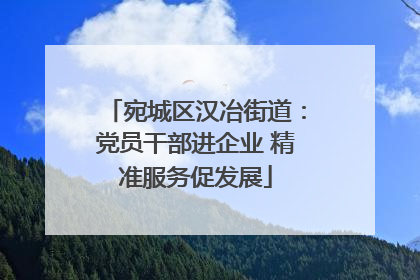 宛城区汉冶街道：党员干部进企业 精准服务促发展