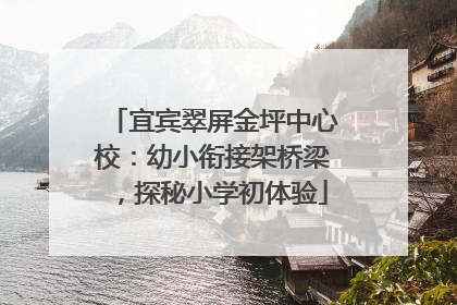 宜宾翠屏金坪中心校：幼小衔接架桥梁，探秘小学初体验