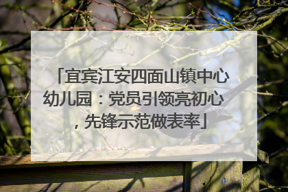 宜宾江安四面山镇中心幼儿园：党员引领亮初心，先锋示范做表率