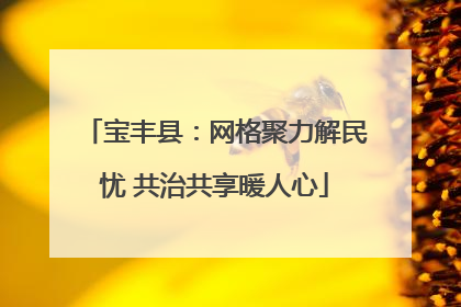 宝丰县：网格聚力解民忧 共治共享暖人心