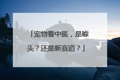 宠物看中医，是噱头？还是新赛道？