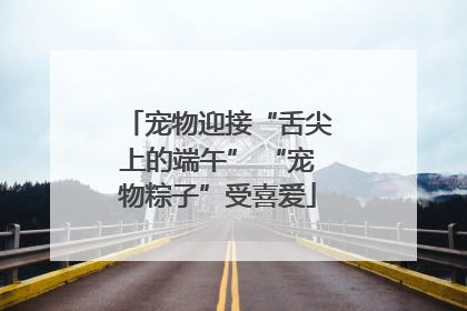 宠物迎接“舌尖上的端午” “宠物粽子”受喜爱