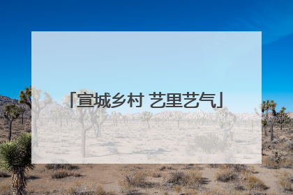 宣城乡村 艺里艺气