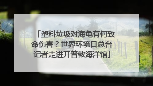 塑料垃圾对海龟有何致命伤害？世界环境日总台记者走进开普敦海洋馆