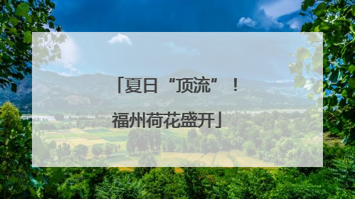 夏日“顶流”！福州荷花盛开