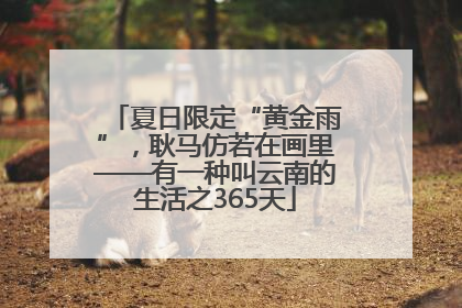 夏日限定“黄金雨”，耿马仿若在画里——有一种叫云南的生活之365天