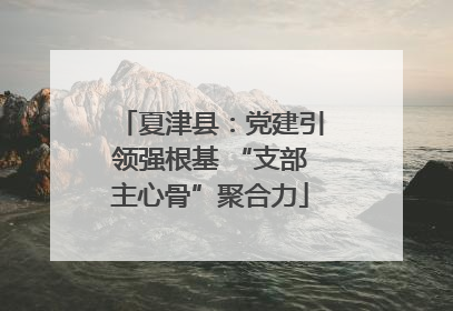 夏津县：党建引领强根基 “支部主心骨”聚合力