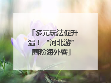 多元玩法促升温！“河北游”圈粉海外客