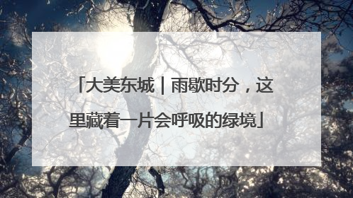 大美东城｜雨歇时分，这里藏着一片会呼吸的绿境