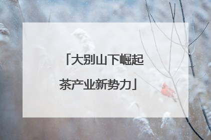 大别山下崛起茶产业新势力