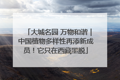 大城名园 万物和谐｜中国植物多样性再添新成员！它只在西藏墨脱