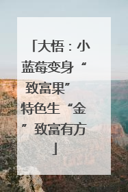 大悟：小蓝莓变身“致富果” 特色生“金”致富有方