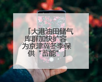大港油田储气库群加快扩容 为京津冀冬季保供“蓄能”