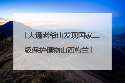 大通老爷山发现国家二级保护植物山西杓兰