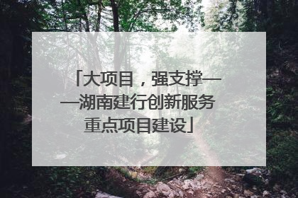 大项目，强支撑——湖南建行创新服务重点项目建设