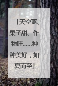 天空蓝、果子甜、作物旺……种种美好，如夏而至