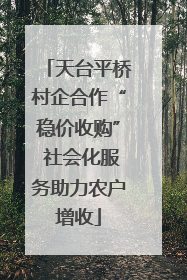 天台平桥村企合作“稳价收购” 社会化服务助力农户增收