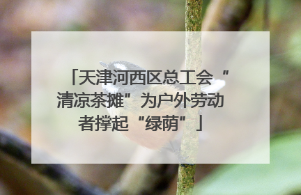 天津河西区总工会“清凉茶摊”为户外劳动者撑起“绿荫”