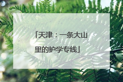 天津：一条大山里的护学专线