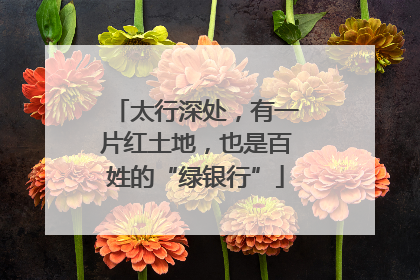太行深处，有一片红土地，也是百姓的“绿银行”