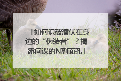 如何识破潜伏在身边的“伪装者”？揭露间谍的N副面孔