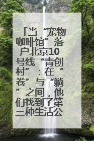 当“宠物咖啡馆”落户北京10号线“青创村”：在“卷”与“躺”之间，他们找到了第三种生活公式