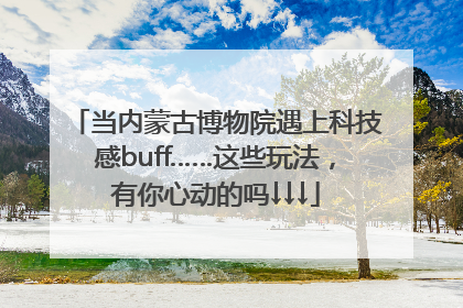 当内蒙古博物院遇上科技感buff……这些玩法，有你心动的吗↓↓↓