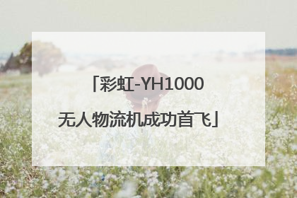 彩虹-YH1000无人物流机成功首飞