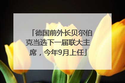 德国前外长贝尔伯克当选下一届联大主席，今年9月上任