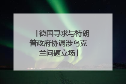 德国寻求与特朗普政府协调涉乌克兰问题立场