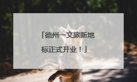 德州一文旅新地标正式开业！