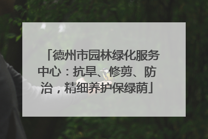 德州市园林绿化服务中心：抗旱、修剪、防治，精细养护保绿荫