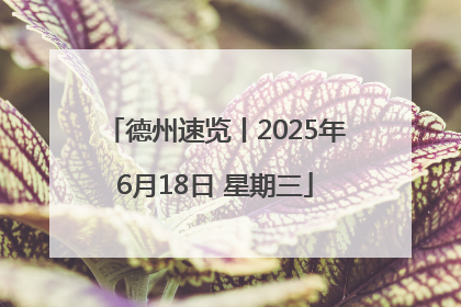 德州速览丨2025年6月18日 星期三