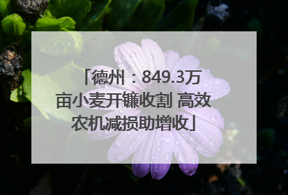德州：849.3万亩小麦开镰收割 高效农机减损助增收
