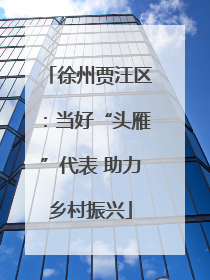 徐州贾汪区：当好“头雁”代表 助力乡村振兴