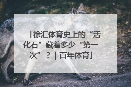 徐汇体育史上的“活化石”藏着多少“第一次”？｜百年体育