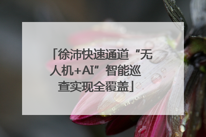 徐沛快速通道“无人机+AI”智能巡查实现全覆盖