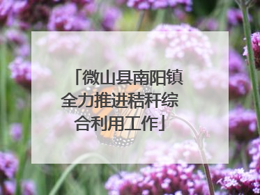 微山县南阳镇全力推进秸秆综合利用工作