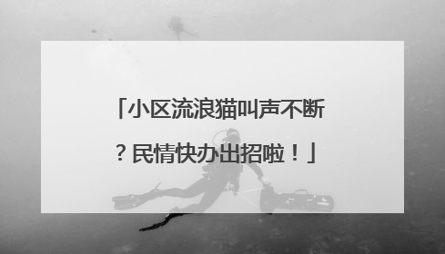 小区流浪猫叫声不断？民情快办出招啦！