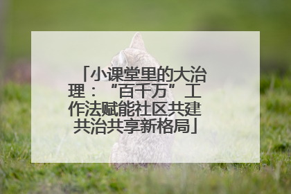 小课堂里的大治理：“百千万”工作法赋能社区共建共治共享新格局