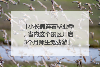 小长假连着毕业季，省内这个景区开启3个月师生免费游