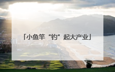 小鱼竿“钓”起大产业