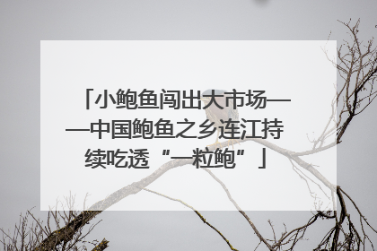 小鲍鱼闯出大市场——中国鲍鱼之乡连江持续吃透“一粒鲍”