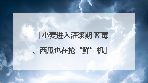 小麦进入灌浆期 蓝莓、西瓜也在抢“鲜”机
