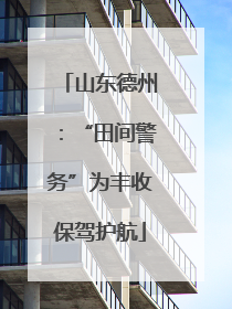 山东德州：“田间警务”为丰收保驾护航